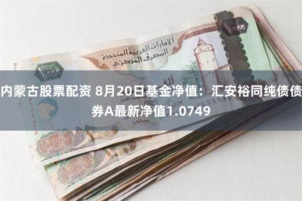 内蒙古股票配资 8月20日基金净值：汇安裕同纯债债券A最新净值1.0749