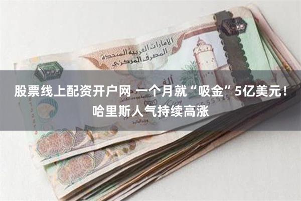 股票线上配资开户网 一个月就“吸金”5亿美元！哈里斯人气持续高涨