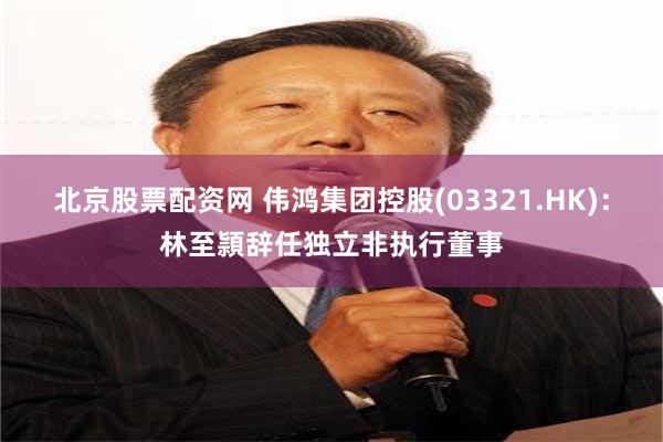 北京股票配资网 伟鸿集团控股(03321.HK)：林至頴辞任独立非执行董事