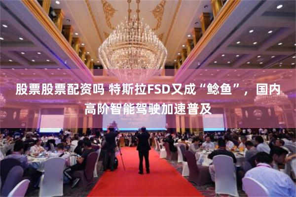 股票股票配资吗 特斯拉FSD又成“鲶鱼”，国内高阶智能驾驶加速普及