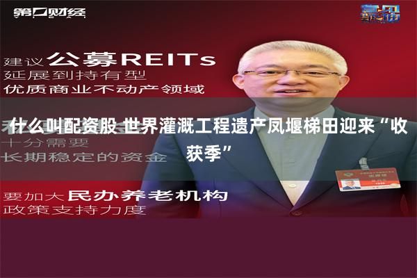 什么叫配资股 世界灌溉工程遗产凤堰梯田迎来“收获季”