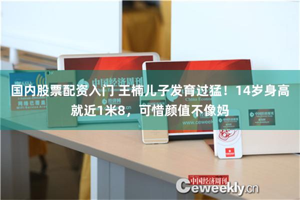 国内股票配资入门 王楠儿子发育过猛！14岁身高就近1米8，可惜颜值不像妈