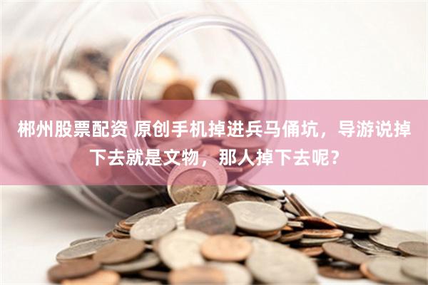 郴州股票配资 原创手机掉进兵马俑坑，导游说掉下去就是文物，那人掉下去呢？