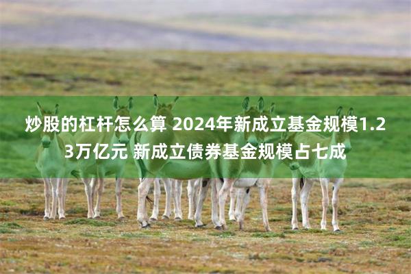 炒股的杠杆怎么算 2024年新成立基金规模1.23万亿元 新成立债券基金规模占七成
