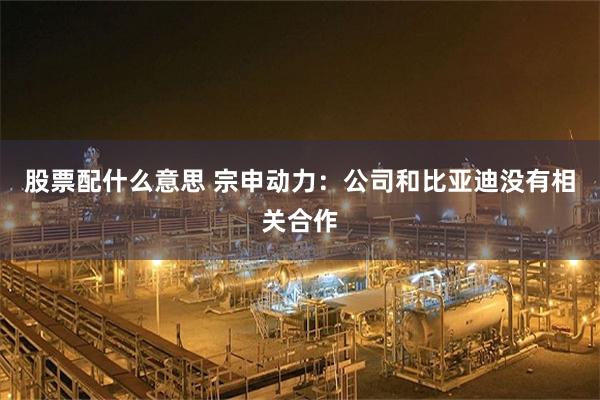 股票配什么意思 宗申动力：公司和比亚迪没有相关合作