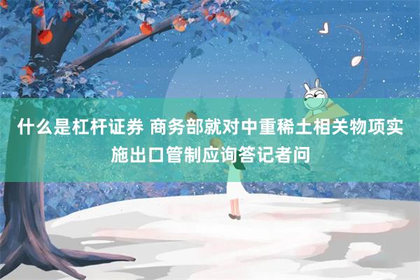 什么是杠杆证券 商务部就对中重稀土相关物项实施出口管制应询答记者问