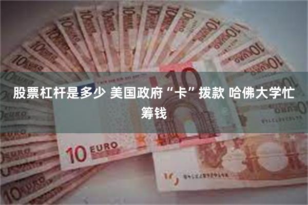 股票杠杆是多少 美国政府“卡”拨款 哈佛大学忙筹钱