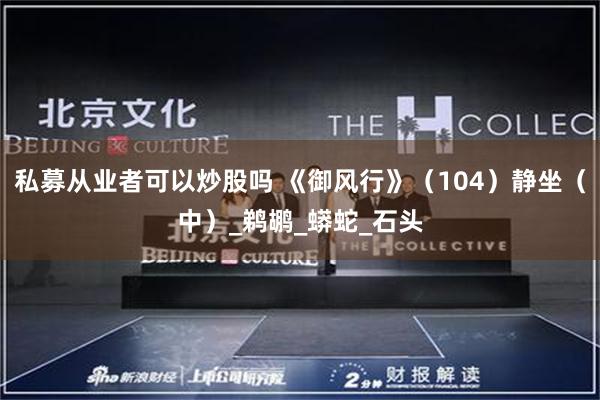 私募从业者可以炒股吗 《御风行》（104）静坐（中）_鹈鹕_蟒蛇_石头