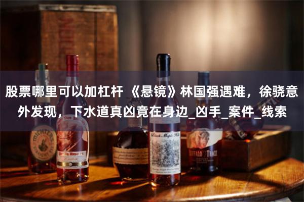 股票哪里可以加杠杆 《悬镜》林国强遇难，徐骁意外发现，下水道真凶竟在身边_凶手_案件_线索