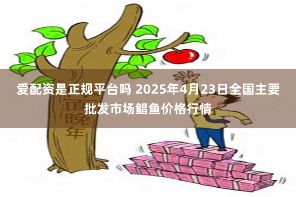 爱配资是正规平台吗 2025年4月23日全国主要批发市场鲳鱼价格行情