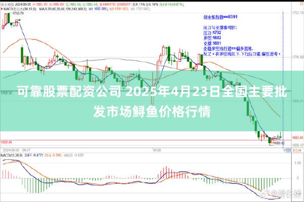 可靠股票配资公司 2025年4月23日全国主要批发市场鲟鱼价格行情