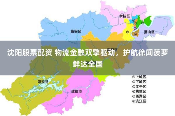 沈阳股票配资 物流金融双擎驱动，护航徐闻菠萝鲜达全国