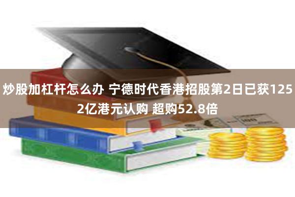 炒股加杠杆怎么办 宁德时代香港招股第2日已获1252亿港元认购 超购52.8倍