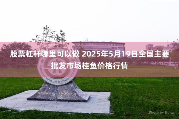 股票杠杆哪里可以做 2025年5月19日全国主要批发市场桂鱼价格行情