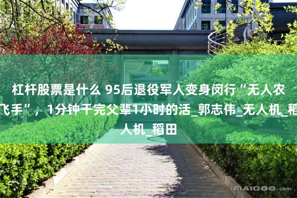 杠杆股票是什么 95后退役军人变身闵行“无人农场飞手”，1分钟干完父辈1小时的活_郭志伟_无人机_稻田