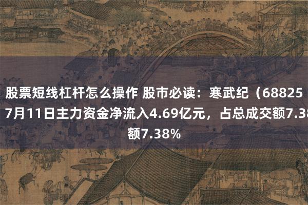 股票短线杠杆怎么操作 股市必读:寒武纪(688256)7月11日主力资金净流入4.69亿元,占总成交额7.38%