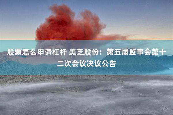股票怎么申请杠杆 美芝股份：第五届监事会第十二次会议决议公告