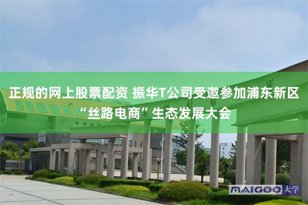 正规的网上股票配资 振华T公司受邀参加浦东新区“丝路电商”生态发展大会