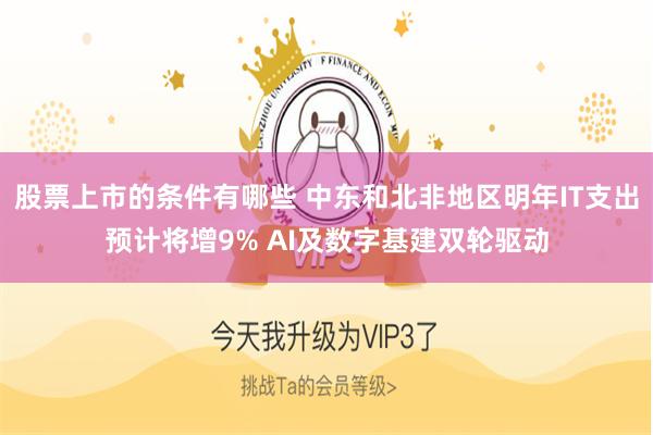 股票上市的条件有哪些 中东和北非地区明年IT支出预计将增9% AI及数字基建双轮驱动