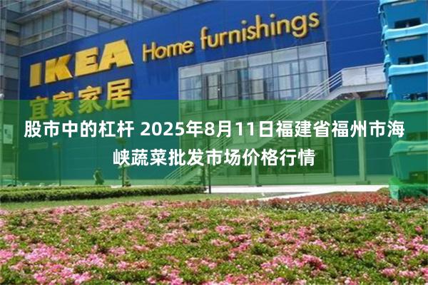 股市中的杠杆 2025年8月11日福建省福州市海峡蔬菜批发市场价格行情