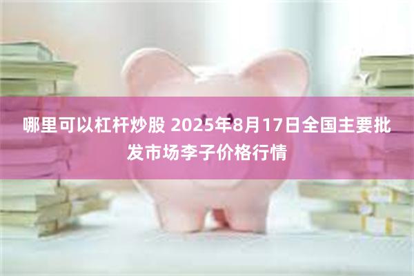 哪里可以杠杆炒股 2025年8月17日全国主要批发市场李子价格行情