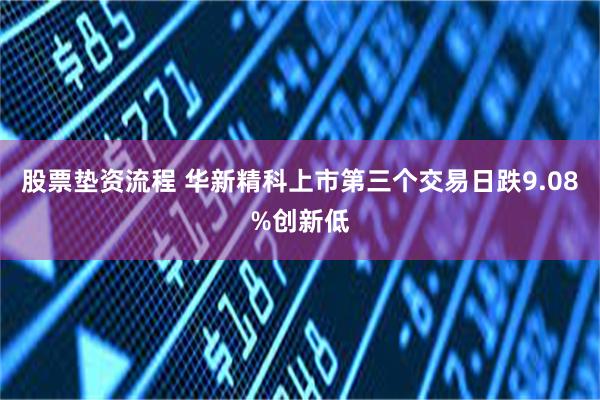 股票垫资流程 华新精科上市第三个交易日跌9.08%创新低