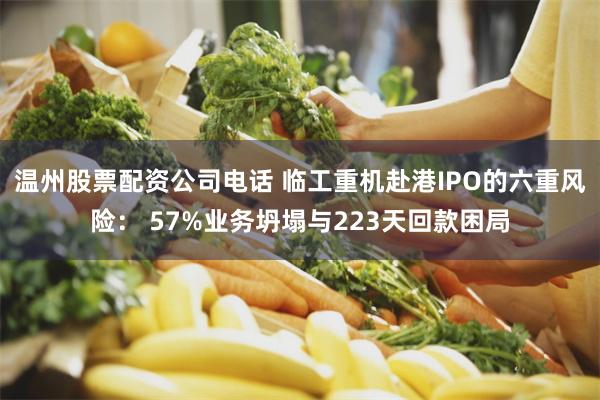 温州股票配资公司电话 临工重机赴港IPO的六重风险: 57%业务坍塌与223天回款困局