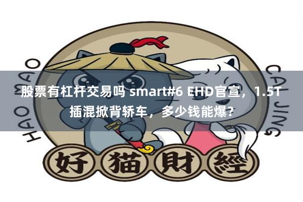 股票有杠杆交易吗 smart#6 EHD官宣，1.5T插混掀背轿车，多少钱能爆？