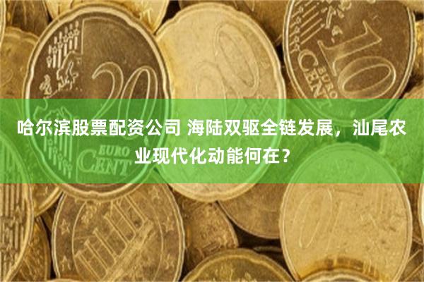 哈尔滨股票配资公司 海陆双驱全链发展，汕尾农业现代化动能何在？