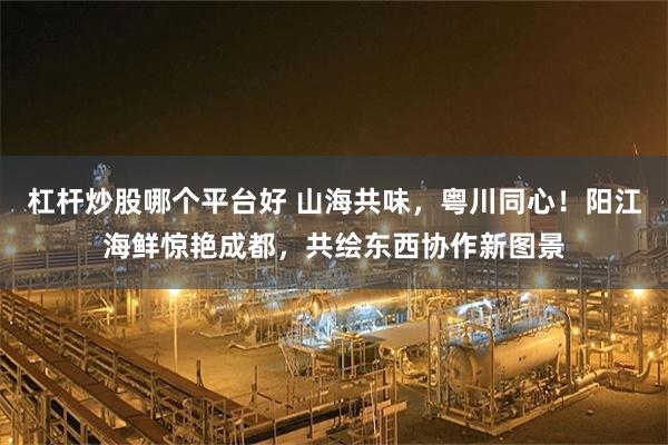 杠杆炒股哪个平台好 山海共味，粤川同心！阳江海鲜惊艳成都，共绘东西协作新图景